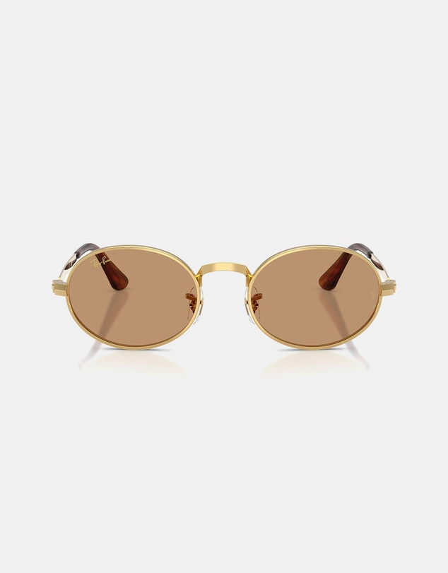 Ray-Ban - 0RB3931