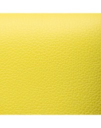 Pre-Loved by Azura Reborn - Pre-Loved Evercolor Constance Wallet To Go