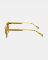 AM Eyewear - Steeb