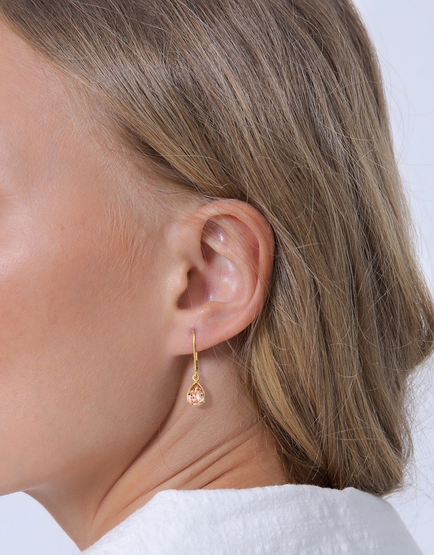 Elli Jewelry - Rose Crystal Teardrop Earrings in Gold-Plated 925 Silver