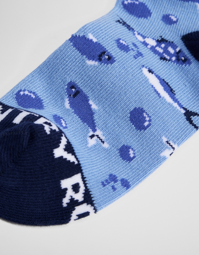 Country Road - Fish Sock