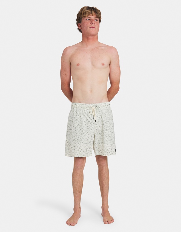 RVCA - Mens Barnes Elastic Volley 17