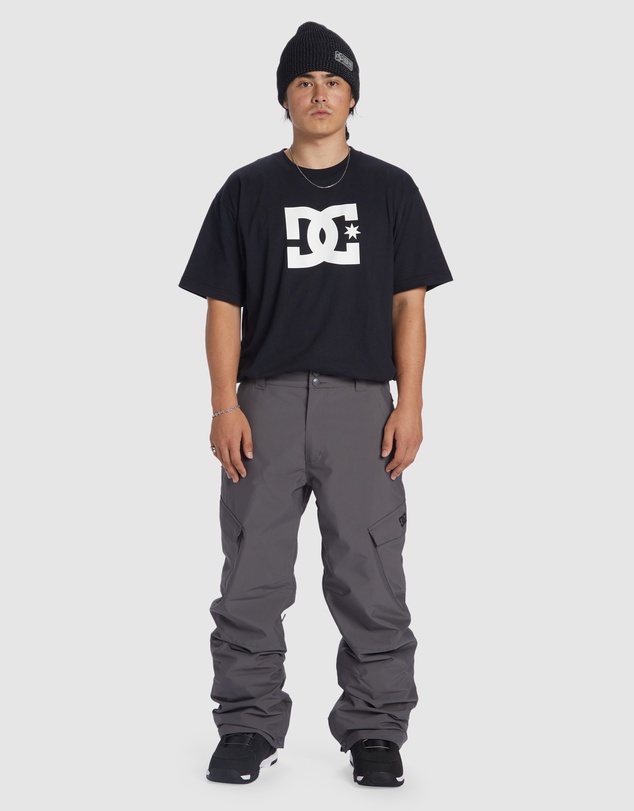 DC Shoes - Mens Banshee Snow Pants