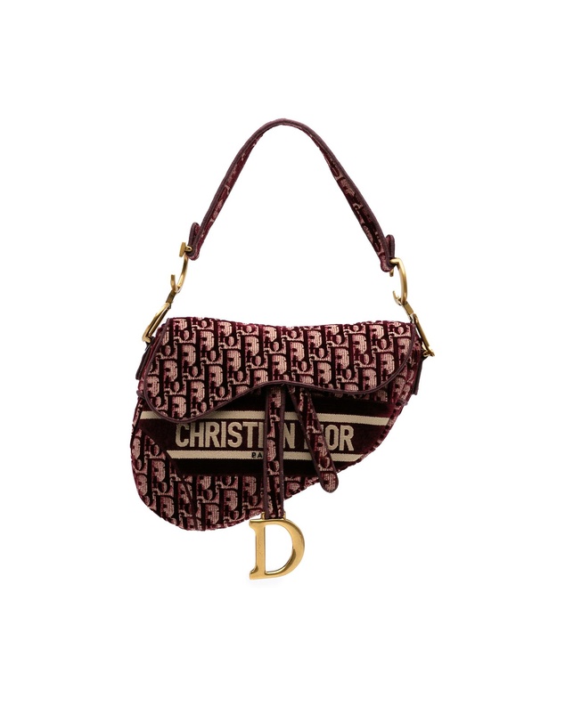 Pre-Loved by Azura Reborn - Pre-Loved Oblique Embroidered Velvet Saddle Bag
