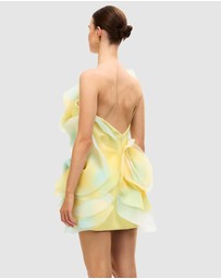 Acler - Cotwall Mini Dress