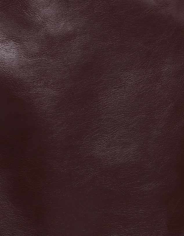 Petal & Pup - Parker Faux Leather Mini Skirt - Burgundy