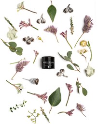 Bondi Wash - Purifying Night Balm - Buddhawood & Blackcurrant