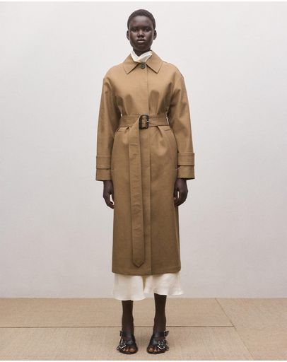 Medium Brown