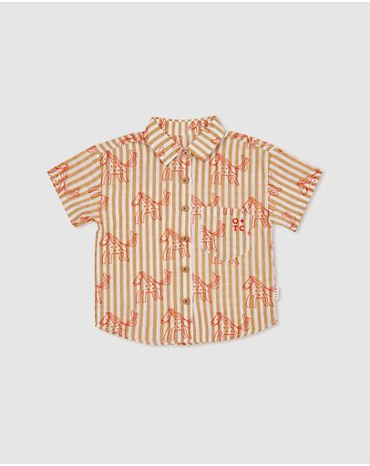 Horses Stripe