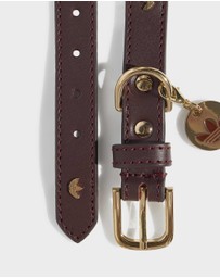 adidas Originals - adidas Pet Collar
