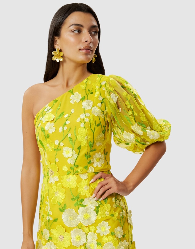Honey and Beau - Enchanted Garden One Sleeve Dress