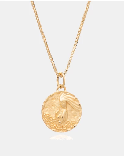 Rachel Jackson - Zodiac Art Coin Necklace Aquarius
