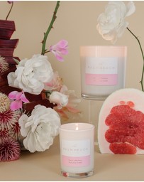 Palm Beach Collection - Pomelo & Dewberry Scented Candle 420g