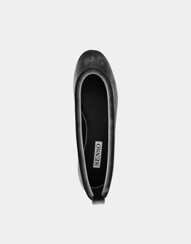 Senso - Delphine