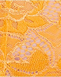 Sans Complexe - Arum Mid-Rise Lace Brief