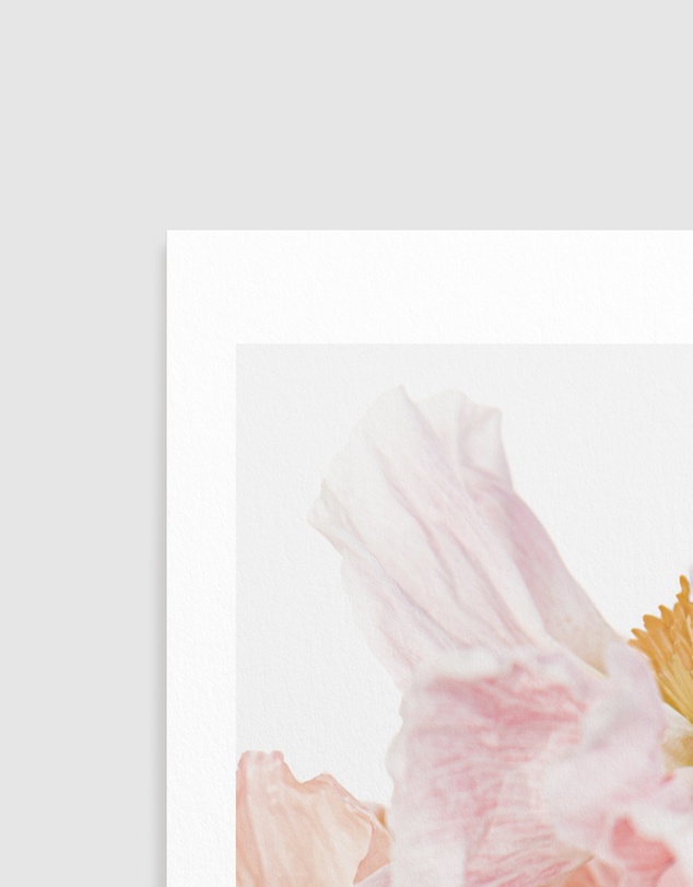 Olive et Oriel - Luxe Poppy III Art Print