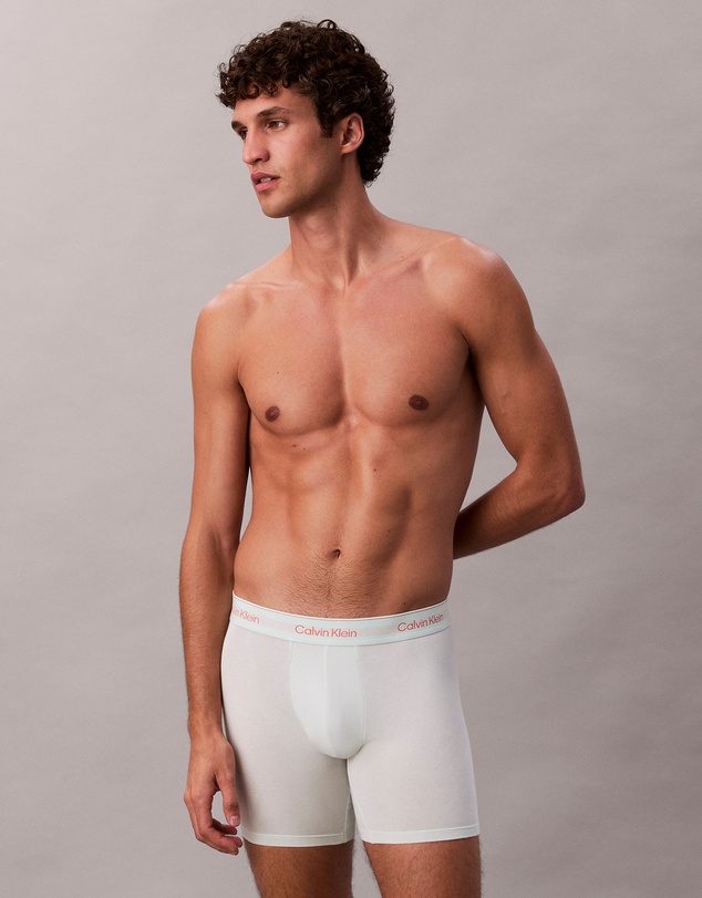 Calvin Klein - Icon Cotton Stretch 3 Pack Boxer Briefs