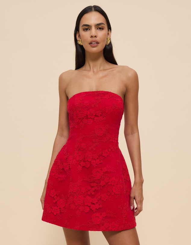 CHANCERY - Lani Strapless Structured Lace Mini Dress