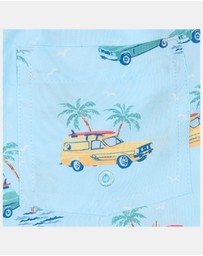 Toshi - Swim Boardies Splash