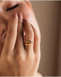 Meshca - Mezquita Ring