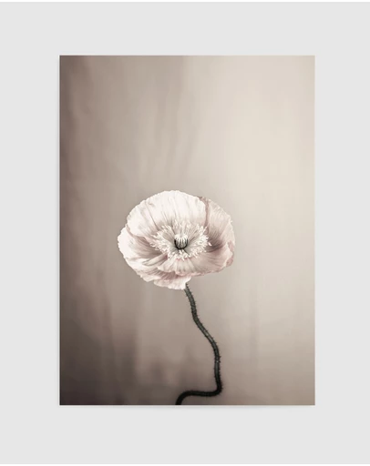 Olive et Oriel - Femme Fleur Art Print