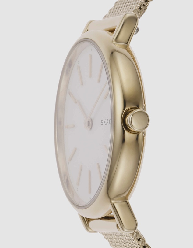 Skagen - Signatur Gold-Tone Analogue Watch SKW2693