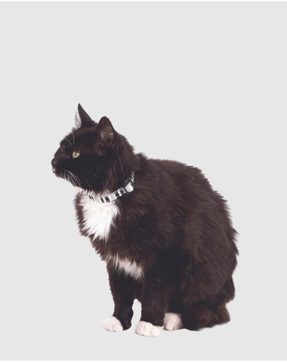 Mog & Bone - Hemp Cat Collar - Pebble Black Brush Stroke Print