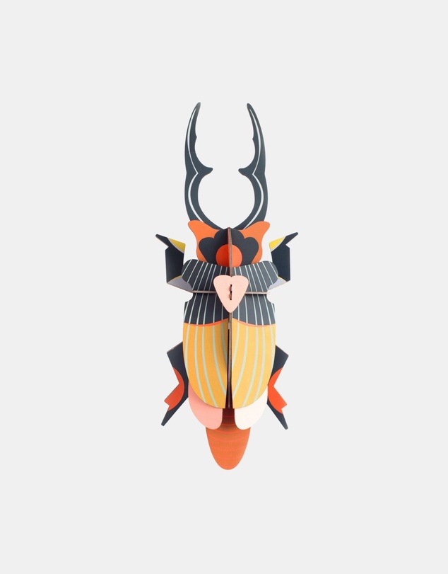 Studio Roof  - Wall Art Beetles A4