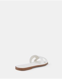 Novo - Sachie Slides