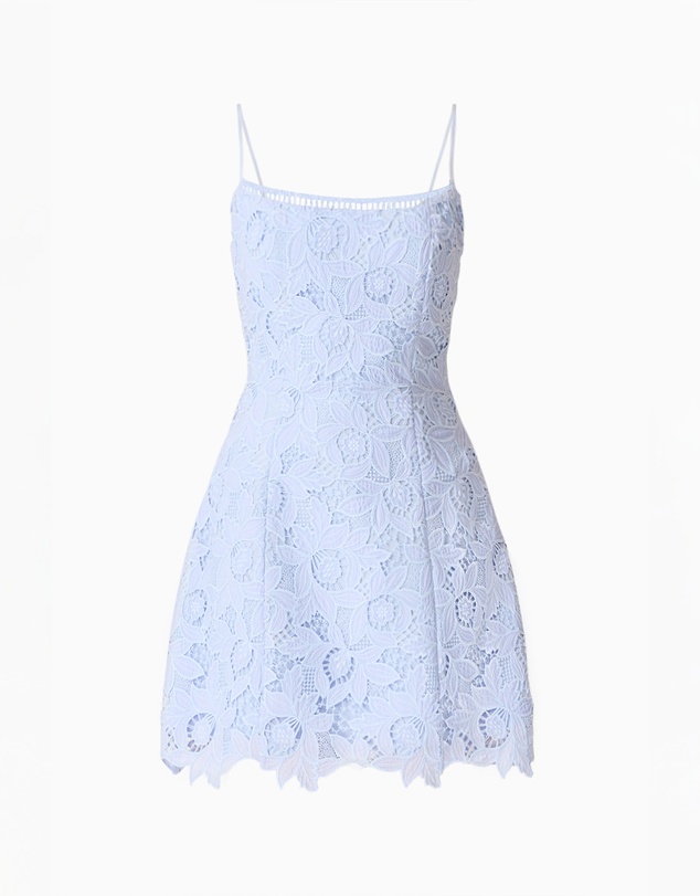 Elliatt - Lacy Tulip Mini Dress