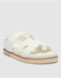 Sandler - Daisy