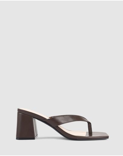 Chocolate Brown