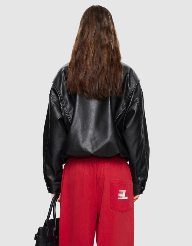 Lioness - Kenny Bomber