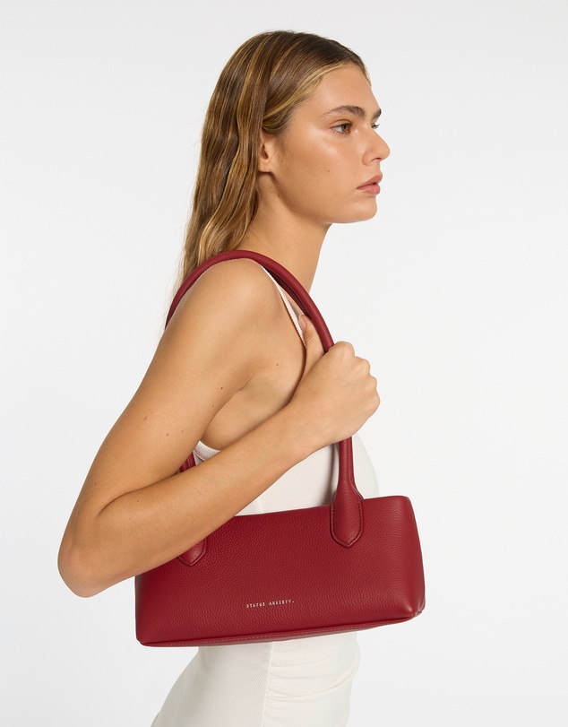 Status Anxiety - The Lost Bag