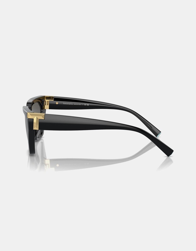Tiffany & Co. - 0TF4205U