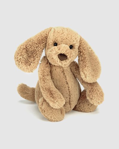 Bashful Puppy Medium