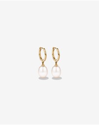 Michael Hill - Hoop Earrings with Cultured Freshwater Pearls in 10kt Yellow Gold