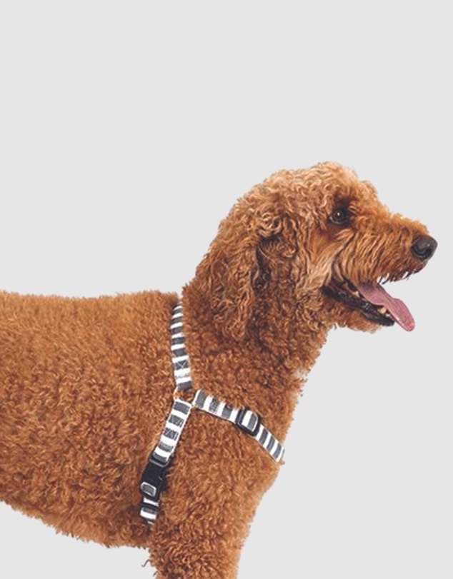 Mog & Bone - Hemp Harness - Charcoal Hampton stripe