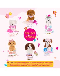 Our Generation - OG Puppy W/ Pet Accessories - Surprise Packs