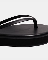 Tkees - Lily Platform