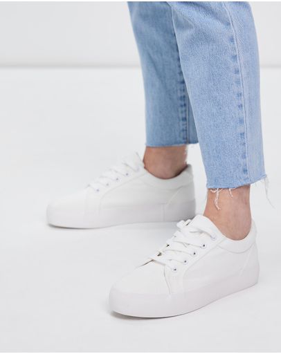 White Canvas