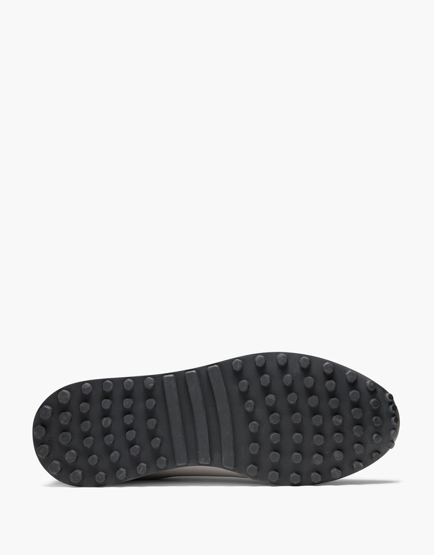 Aquila - Apollo Sneakers
