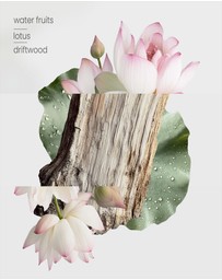 Kirri by Scent Australia Home - Aura Zen Garden Oil (100ml) Duo