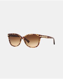 Coach - 0HC8132