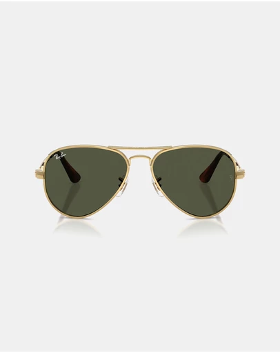 Ray-Ban - Aviator Max