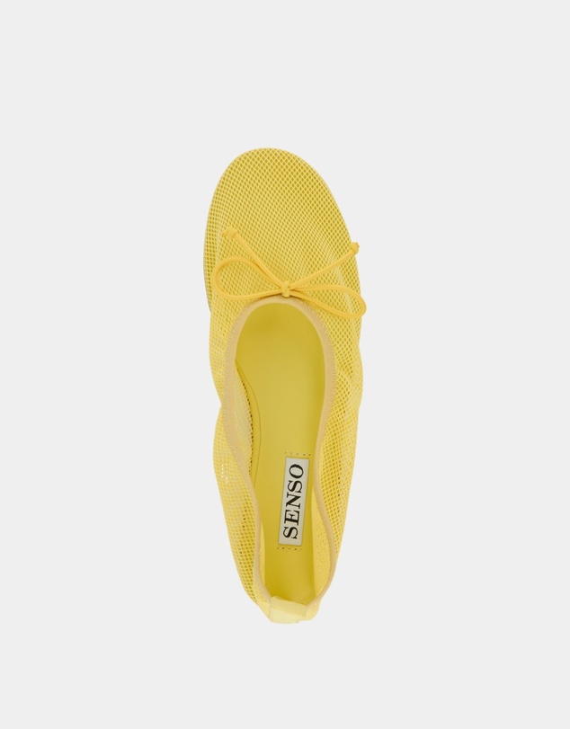 Senso - Carter