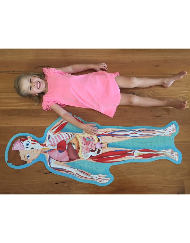 Sassi - Travel Learn Explore The Body Puzzle