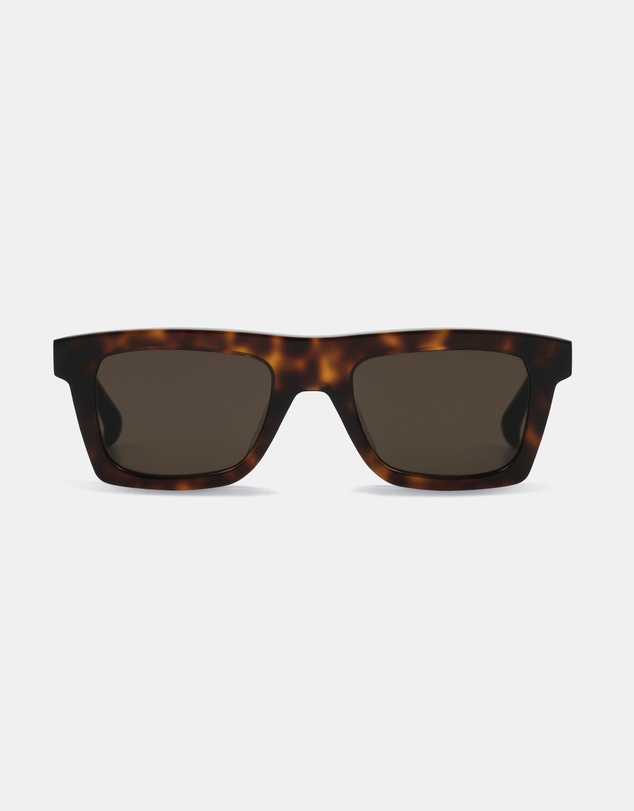 AM Eyewear - Steeb