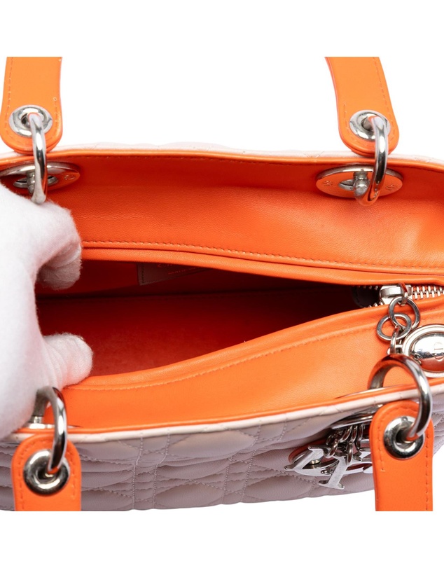 Pre-Loved by Azura Reborn - Pre-Loved Medium Tricolor Lambskin Cannage Lady Dior