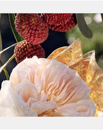 Chloé - Chloe Eau De Parfum 50ml